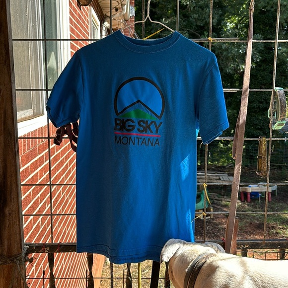 Champion Authentic Athletic Apparel Blue Short Sleeves Tee Big Sky Montana Men S - Picture 3 of 16